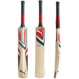 Cricket Bat